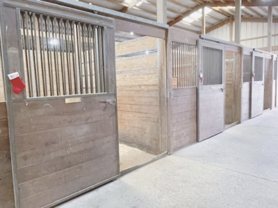 Sohlay Sporthorses